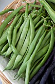 FRENCH BEAN FLOJOLY
