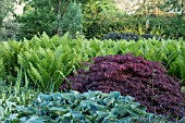 FOLIAGE GARDEN AT FULLERS MILL