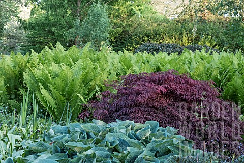FOLIAGE_GARDEN_AT_FULLERS_MILL