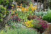 RAISED ALPINE BED