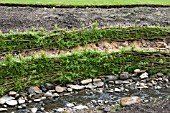 WOVEN WILLOW TO STOP SOIL EROSION OF STREAM BANK