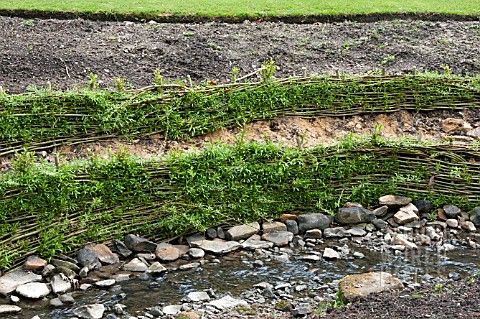 WOVEN_WILLOW_TO_STOP_SOIL_EROSION_OF_STREAM_BANK