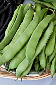 FRENCH BEAN DULCINA