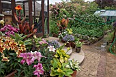 CONTAINERS AND VEGETABLE GARDEN