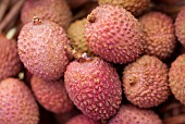 LITCHI CHINENSIS