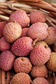 LITCHI CHINENSIS