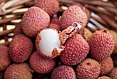 LITCHI CHINENSIS