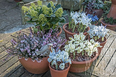 WINTER_PATIO_POTS