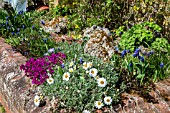 RAISED ALPINE BED