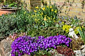 RAISED ALPINE BED