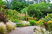 SUMMER BORDERS AT RHS HYDE HALL