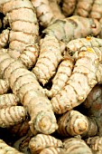 TURMERIC  (CURCUMA LONGA)