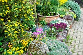 ALPINE RAISED BEDS