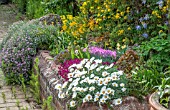 RAISED ALPINE BED