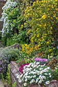 RAISED ALPINE BED