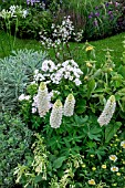 COOL BORDER