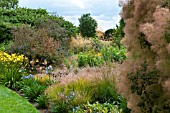 SUMMER BORDERS AT RHS HYDE HALL