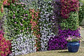 LIVING WALL DISPLAY