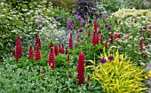 PERENNIAL BORDER