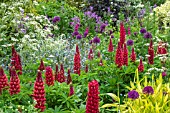 PERENNIAL MIXED BORDER