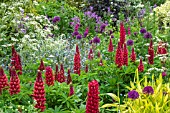 PERENNIAL MIXED BORDER