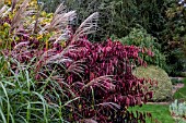 AUTUMN GARDEN