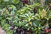 SUB-TROPICAL GARDEN