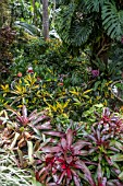 SUBTROPICAL GARDEN