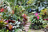 TROPICAL GARDEN