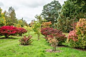 THE PLACE FOR PLANTS ARBORETUM