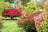 THE PLACE FOR PLANTS ARBORETUM