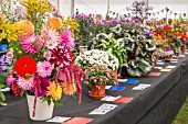 MALVERN AUTUMN SHOW