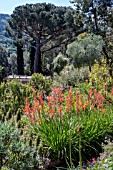 MEDITERRANEAN GARDEN