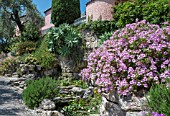 MEDITERRANEAN GARDEN