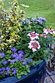 SUMMER CONTAINER