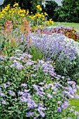 PERENNIAL BORDER