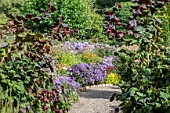 PICTON GARDENS ASTER COLLECTION