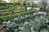 VEGETABLE GARDEN