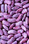 RUNNER BEAN SEEDS