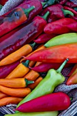 MIXED PEPPERS