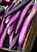 Aubergine Farmers Long