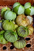 TOMATILLO