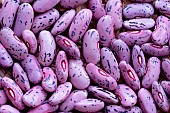 RUNNER BEAN SEEDS