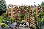 ARCH AND TRELLIS