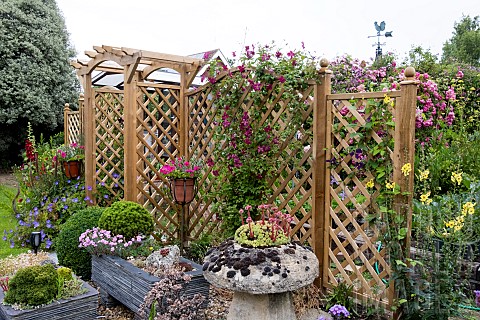ARCH_AND_TRELLIS