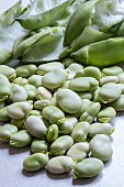 BROAD BEANS SHELLED