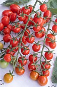 CHERRY TOMATOES