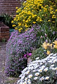 RAISED BEDS WITH PLANTS CASCADING OVER