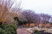 WINTER GARDEN, ANGLESEA ABBEY,UK