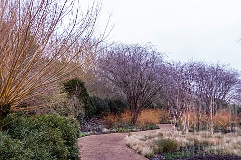 WINTER_GARDEN_ANGLESEA_ABBEYUK